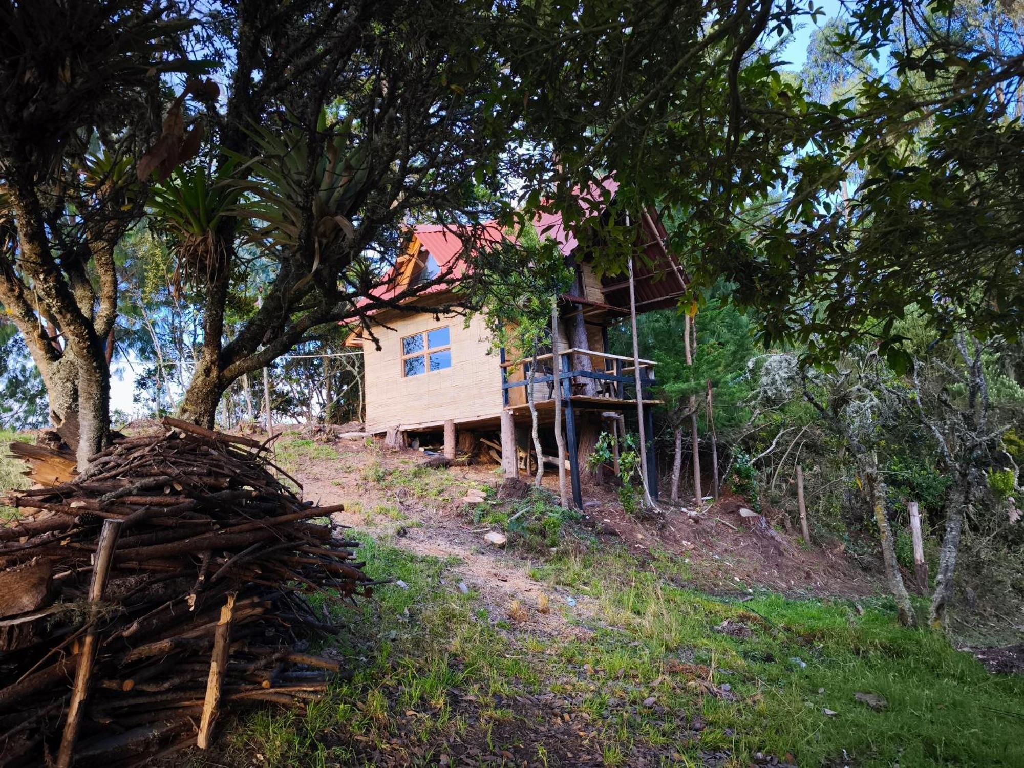 Camping Del Arbol Sesquilé