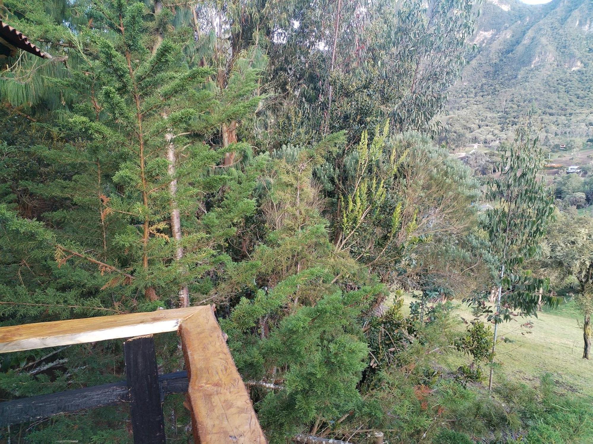 Del Arbol Campsite