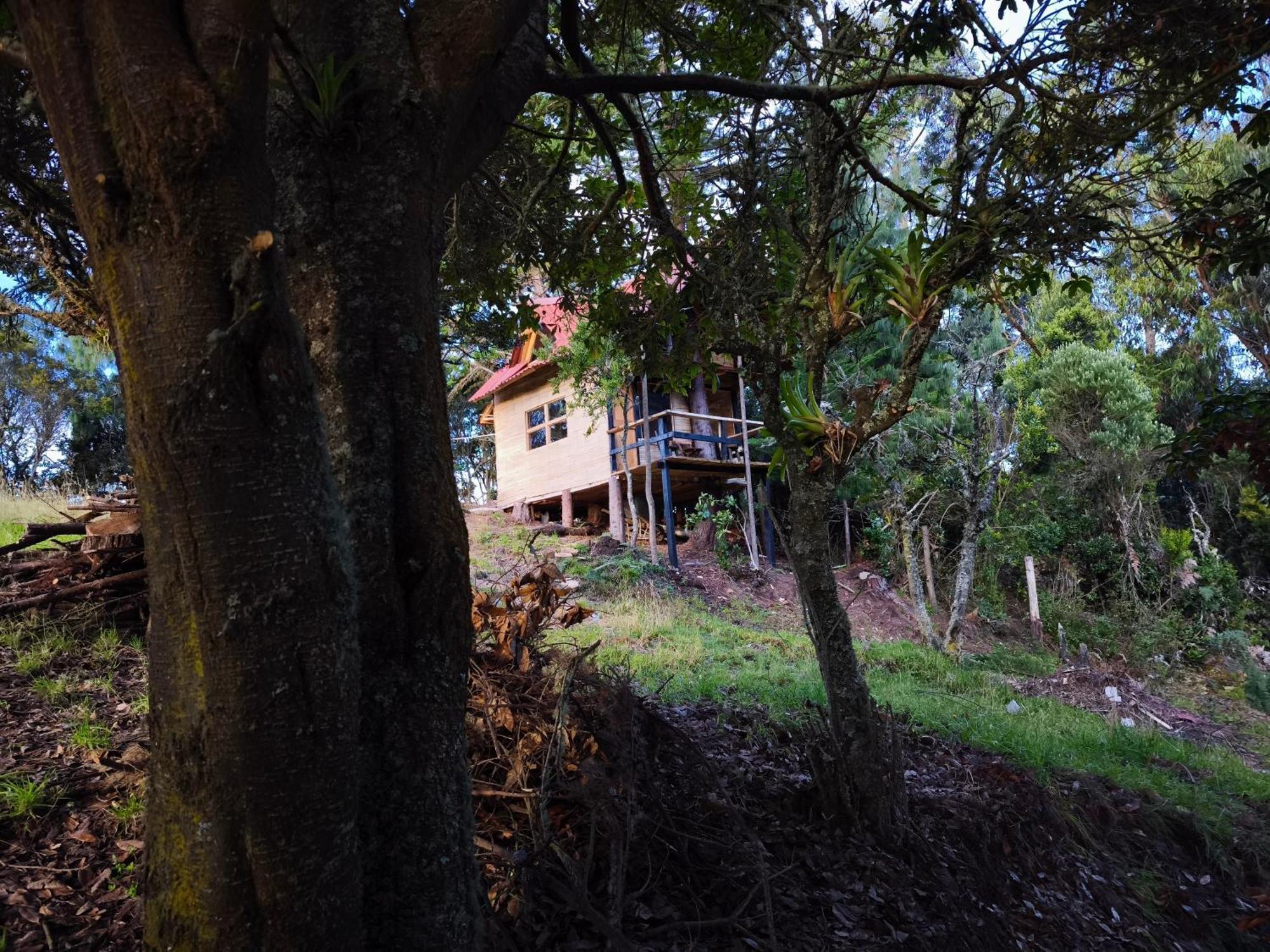 Del Arbol Campsite Sesquile