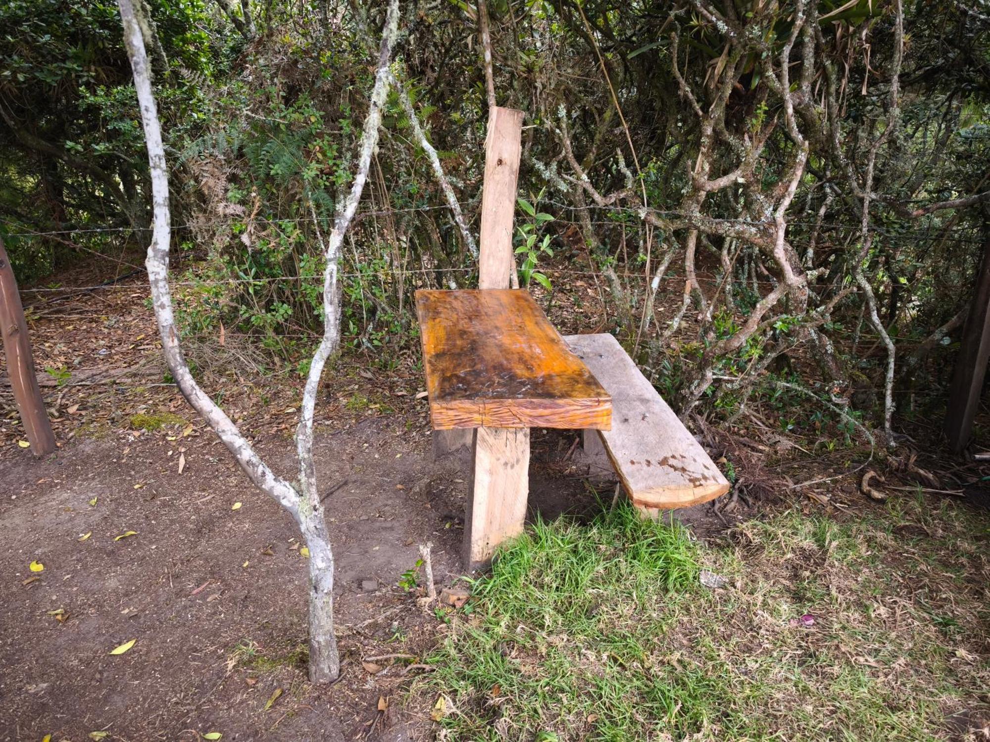 Del Arbol Campsite Sesquile